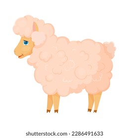 Fluffy sheep in cartoon style. Livestock, animal, Farming. Farm. Fur. Vector illustration isolated on white background.