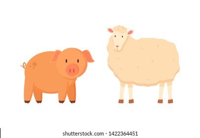 Fluffy sheep and porky pig vector, isolated domestic animals on farm, farming and breeding of mammals for agriculture, funny characters standing together