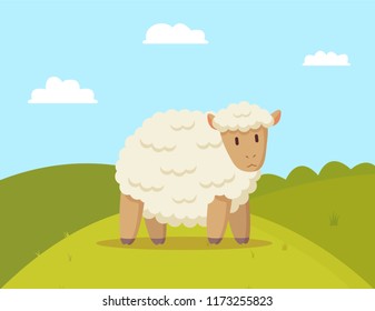 Fluffy sheep walking on meadow colorful poster, vector illustration of pretty domestic animal with soft wool, sunny day and bright sky with clouds