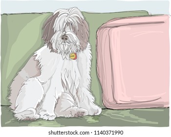 English Sheep Dog Stock Vectors Images Vector Art