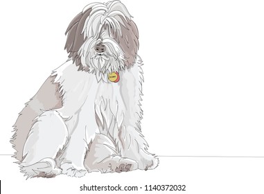 Fluffy sheepdog with full fur, sitting on a sofa and looking at the camera. Dog is a purebred Polish Lowland Sheepdog but also looks like an Old English Sheepdog puppy. Hand drawn vector illustration.