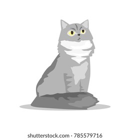 Fluffy siberian cat with gray fur. Pet with serious muzzle. Cartoon domestic animal character. Human s little friend. Flat vector sign for pet shop or veterinary clinic