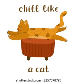 Fluffy sleepy cat resting on comfortable sofa and funny lettering Chill Like a cat. Cute kitty character lying in funny pose. Kawaii lazy kitten is perfect for print, sticker, t-shirt, greeting card.