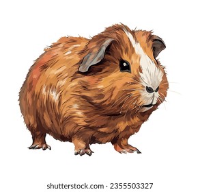 Fluffy small pets, cute guinea pigs icon isolated