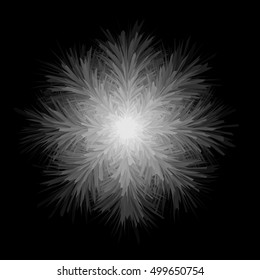 Fluffy snowflake white on a black background