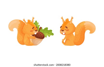 Fluffy Squirrel Character Sitting with Acorn Vector Set