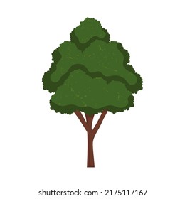 Fluffy Tree Icon On White Background