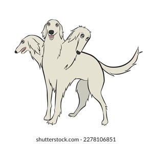  Fluffy white borzoi dog meme being the underworld dog cerberus. It has three heads. Vector isolated on white background.