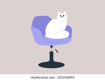 A fluffy white cat sitting in a chair