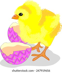 fluffy yellow chicken with a pink shell 