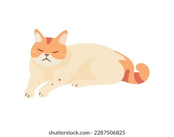 Fluffy yellow kitten sitting icon isolated