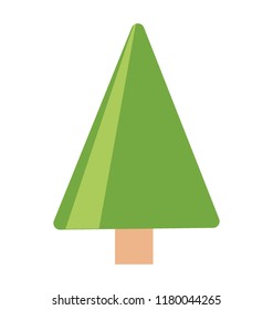 
Fluffy young branch fir tree, coniferous tree 
