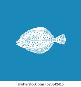Fluke fish vector illustration