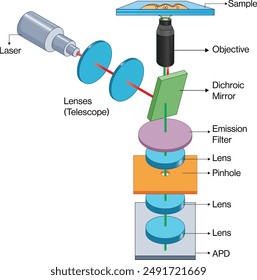 Fluorescence Correlation Spectroscopy (FCS) Diagram, White Background, Science Vector Illustration