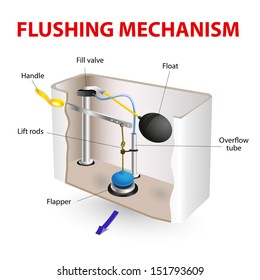 Flush toilet flushing mechanism  vector diagram. How It's Made