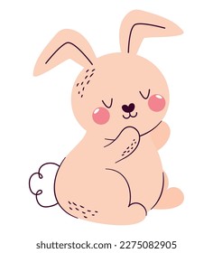 flushed bunny design over white