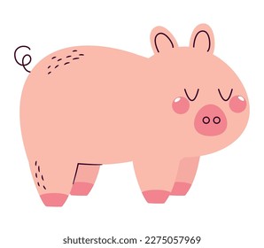 flushed pig design over white