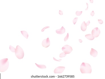 fluttered cherry blossoms petals background