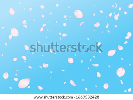 fluttered cherry blossoms petals sky background