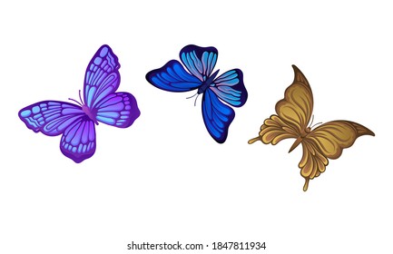 Fluttering Butterflies with Brightly Coloured Wings Vector Set