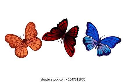 Fluttering Butterflies with Brightly Coloured Wings Vector Set