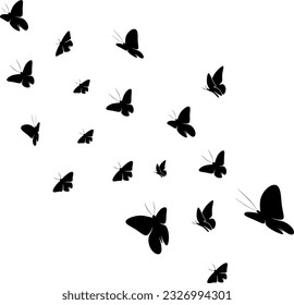 fluttering butterfly silhouette design illustration