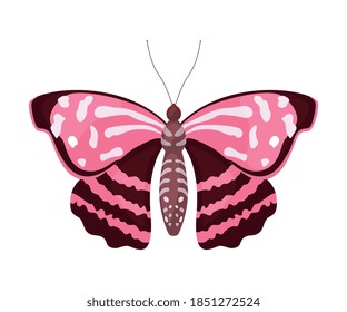 Fluttering Tropical Butterfly with Brightly Coloured Wings Vector Illustration