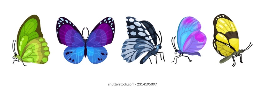 Fluttering Tropical Butterfly with Brightly Coloured Wings Vector Set