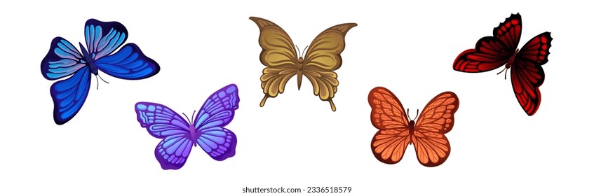 Fluttering Tropical Butterfly with Brightly Coloured Wings Vector Illustration Set