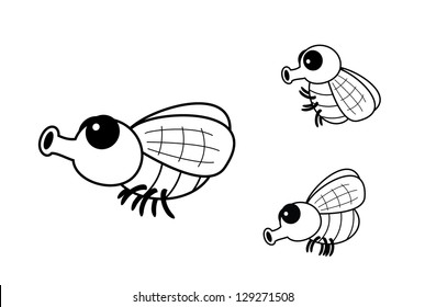 fly