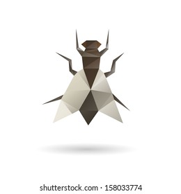 Fly abstract isolated on a white backgrounds, vector illustration