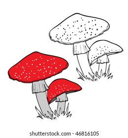 Fly Agaric
