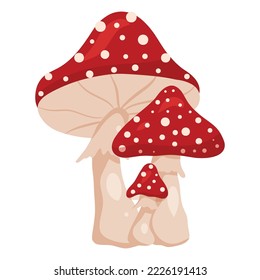 Fly agaric amanita family. Little, middle and big mushrooms. Vector illustration isolated on white background. Cartoon style