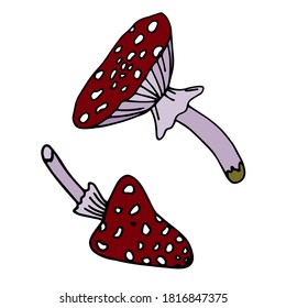 Fly agaric, amanita icon set. Hand drawn vector illustration in doodle style outline drawing isolated on white background.