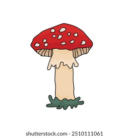 Fliege Agarische Amanita, magische giftigen Pilz mit roter Kappe und weißen Punkten. Linie Cartoon Stil des Waldes giftigen Pilz oder Heilpflanze. Isolierte Vektorgrafik mit Gras auf weißem Hintergrund