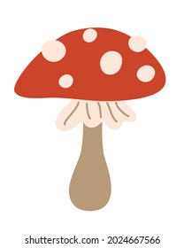 Fly agaric. Amanita mushroom. Poisonous toadstool fly agaric.  Red mushroom. Cartoon flat Vector illustration isolated on white background.