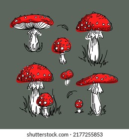 Fly agaric, Amanita, non-edible poisonous mushroom. Bright illustration in cartoon style. In red and green colors. Gathering in the autumn forest. For stickers, posters, postcards, design elements