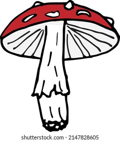 Fly agaric, amanita, simple vector color picture isolated on a white background, sketch.