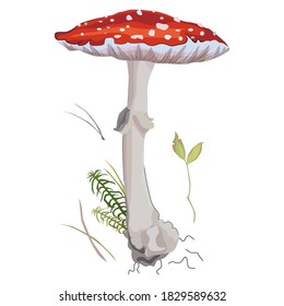 Fly agaric. Beautiful forest mushroom. A poisonous mushroom with a red cap and white spots. Vector illustration isolated on a white background for design and web.