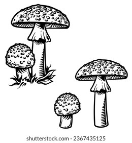 Fly agaric, big and small. Mushrooms vector illustration.