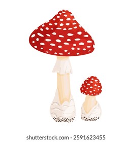 Fly agaric big and small mushrooms. Hand drawn flat style isolated icons. Poisonous toadstools Amanita Muscaria, Inedible mushrooms. Magic mushroom symbol autumn and summer woodlander illustration