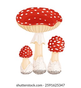 Fly agaric big and small mushrooms. Hand drawn flat style isolated icons. Poisonous toadstools Amanita Muscaria, Inedible mushrooms. Magic mushroom symbol autumn and summer woodlander illustration