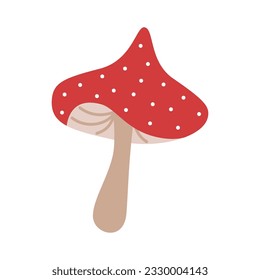 Fly agaric cartoon illustration. Toxic forest mushrooms. Poisonous red spotted mushroom. Vector illustration isolated on white background. 