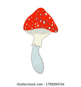 Fly agaric in cartoon style. Fly mushroom Amanita muscaria isolated on white background. red spotted poisonous mushroom. Forest poisonous red mushroom. Vector illustration. for cardz posters design.