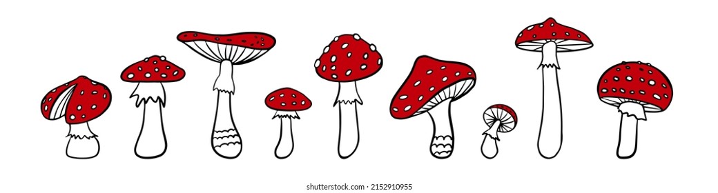 Colección agaric de moscas. Mano dibujó a amanita. Hongos Doodle sobre fondo blanco. Ilustración vectorial.