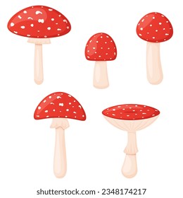 Fly agaric collection isolated on white forest poisonous mushrooms