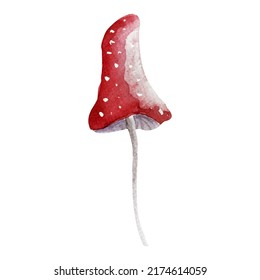 Fly agaric dry forest grebe element imitation watercolor. Template for decorating designs and illustrations.
