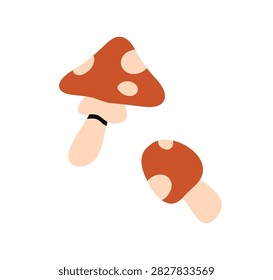 Fly agaric, forest mushrooms. Toxic poisonous Amanita muscaria with red spotted cap. Dangerous poison fungi. Flyagaric fungus. Botanical flat vector illustration isolated on white background