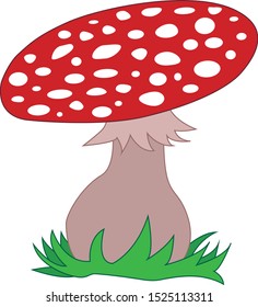 fly agaric grebe vector illustration