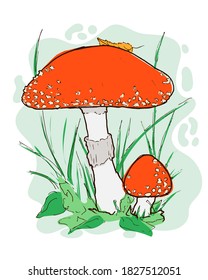 Fly agaric hand drawn illustration in cartoon style. Isolated amanita muscaria mushroom in woodland. Sticker element with white background for autumn banner, thanksgiving and harvest festivals. EPS10